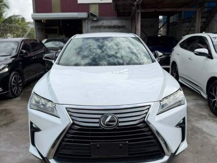 2017 Lexus RX 300 F-Sport for sale at TriStone Auto, Georgetown Guyana &mdash; photo 3 of 9